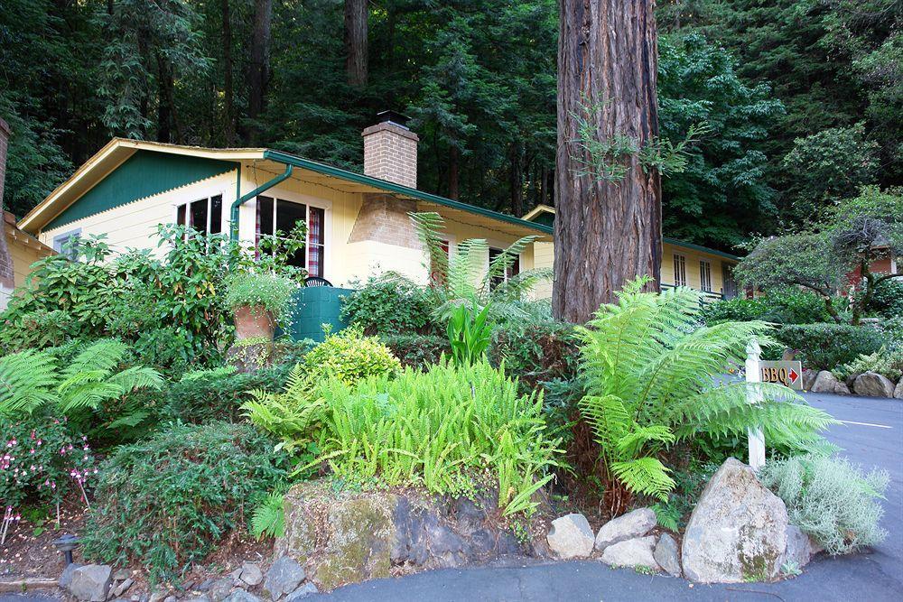 Fern Grove Cottages Guerneville Eksteriør billede
