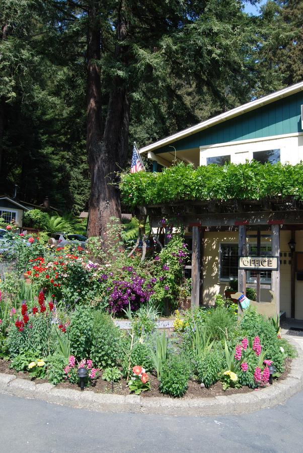Fern Grove Cottages Guerneville Eksteriør billede