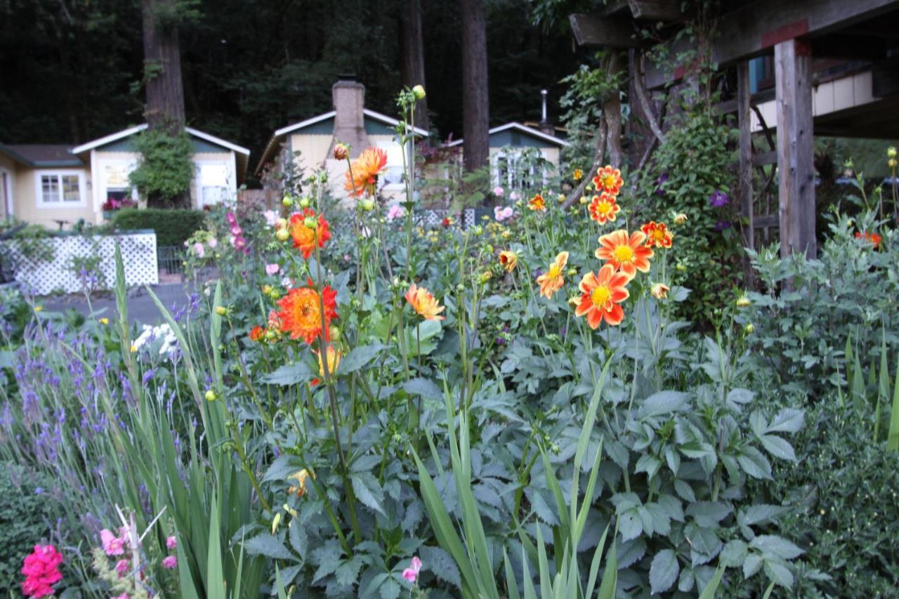Fern Grove Cottages Guerneville Eksteriør billede